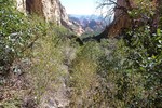 photo thumbnail #15
