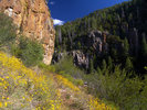 photo thumbnail #11