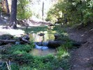 photo thumbnail #9