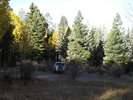 photo thumbnail #1
