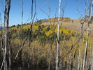 photo thumbnail #2