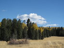 photo thumbnail #13