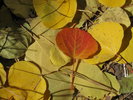 photo thumbnail #9