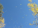 photo thumbnail #12