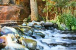 photo thumbnail #6