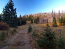 photo thumbnail #4