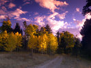 photo thumbnail #8