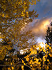 photo thumbnail #13