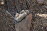 photo thumbnail #10
