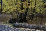 photo thumbnail #10