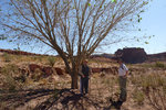 photo thumbnail #7