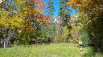 photo thumbnail #4