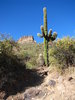 photo thumbnail #4