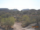photo thumbnail #2