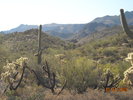 photo thumbnail #3