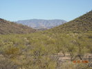 photo thumbnail #7