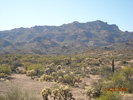 photo thumbnail #8