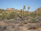 photo thumbnail #9