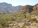 photo thumbnail #10