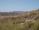 photo thumbnail #12