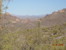 photo thumbnail #14