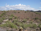 photo thumbnail #2