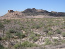 photo thumbnail #3