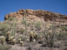 photo thumbnail #1