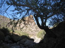 photo thumbnail #5
