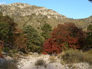 photo thumbnail #7