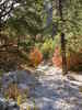 photo thumbnail #9