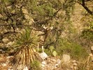 photo thumbnail #15