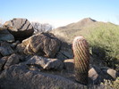 photo thumbnail #1