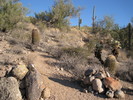 photo thumbnail #2