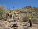 photo thumbnail #4