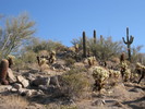 photo thumbnail #5