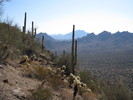 photo thumbnail #8