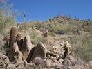 photo thumbnail #10