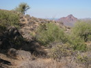 photo thumbnail #11