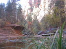 photo thumbnail #9