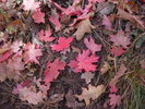 photo thumbnail #14