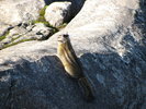 photo thumbnail #7