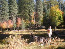 photo thumbnail #3