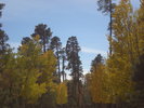 recent photo