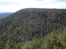recent photo
