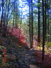 photo thumbnail #2