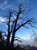 photo thumbnail #15