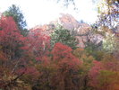 photo thumbnail #9