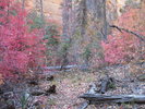 photo thumbnail #11