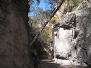 photo thumbnail #15